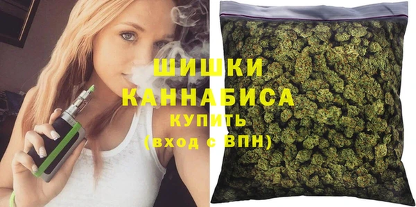 тгк Дмитров