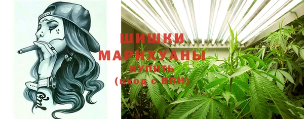тгк Дмитров