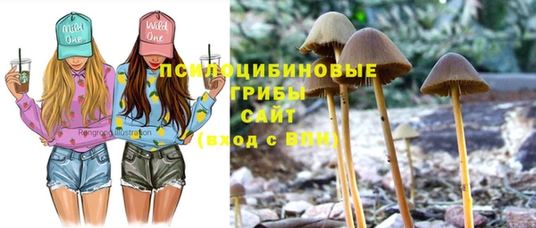 синтетический гашиш Дмитровск