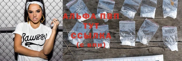 тгк Дмитров