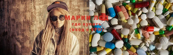 тгк Дмитров