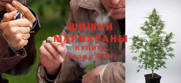тгк Дмитров